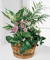 FTD French Garden