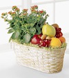 FTD Fruits and Flowers FTD Fruits and Flowers