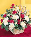 FTD  Candy Cane Lane Arrangement