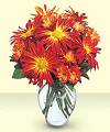 FTD Fireburst Bouquet FTD Fireburst Bouquet