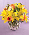 FTD All Is Bright Bouquet FTD All Is Bright Bouquet