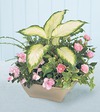 FTD Garden of Grace Planter   -  PREMIUM