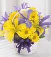 FTD Spirit of Spring Basket   -  DELUXE