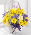 FTD Spirit of Spring Basket   -  PREMIUM