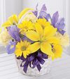 FTD Spirit of Spring Basket