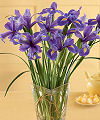 FTD Blooming Iris Bouquet