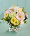 FTD Floral Festival Bouquet FTD Floral Festival Bouquet