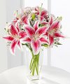 FTD Pink Lily Bouquet - PREMIUM FTD Pink Lily Bouquet - PREMIUM