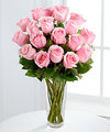 FTD Long Stem Pink Rose Bouquet - DELUXE FTD Long Stem Pink Rose Bouquet - DELUXE