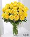 FTD Long Stem Yellow Rose Bouquet - PREMIUM FTD Long Stem Yellow Rose Bouquet - PREMIUM