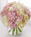 FTD Hydrangea Bouquet   -  DELUXE