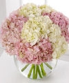 FTD Hydrangea Bouquet   -  PREMIUM