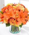 FTD Simply Bewitching Bouquet - PREMIUM FTD Simply Bewitching Bouquet - PREMIUM