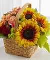 FTD Bright Day Basket   -  DELUXE