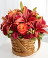 FTD Abundant Harvest Basket - DELUXE FTD Abundant Harvest Basket - DELUXE