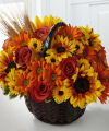 FTD Harvest Sunshine Basket - PREMIUM FTD Harvest Sunshine Basket - PREMIUM