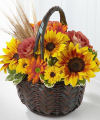 FTD Harvest Sunshine Basket FTD Harvest Sunshine Basket