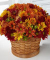 FTD Woodland Wonder Basket - PREMIUM FTD Woodland Wonder Basket - PREMIUM