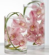 FTD Tranquil Arrangement