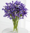 FTD Iris Riches Bouquet   -  DELUXE