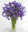 FTD Iris Riches Bouquet   -  PREMIUM