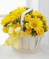 FTD Uplifting Moments Bouquet FTD Uplifting Moments Bouquet