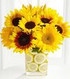 FTD Sunshine Daydream Bouquet by Better Homes and Gardens - PREMIUM FTD Sunshine Daydream Bouquet by Better Homes and Gardens - PREMIUM