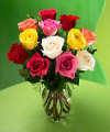 FTD Premium Long Stemmed Mixed Color Rose Bouquet FTD Premium Long Stemmed Mixed Color Rose Bouquet
