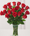 FTD Premium 18 Long Stemmed Red Roses Bouquet FTD Premium 18 Long Stemmed Red Roses Bouquet