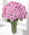 FTD Lavender Rose Bouquet - 36 Stems FTD Lavender Rose Bouquet - 36 Stems