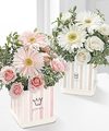 FTD Baby Prince Bouquet