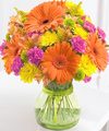 FTD Because You're Special Bouquet   -  DELUXE