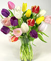 20 Stem Mixed Tulip Bouquet - FedEx 20 Stem Mixed Tulip Bouquet - FedEx
