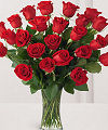 Two Dozen Red Roses - FedEx Two Dozen Red Roses - FedEx