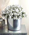 White Christmas Bells  -  FedEx