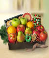 Holiday Fruit and Favorites Box - FedEx Holiday Fruit and Favorites Box - FedEx