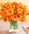 Orange Burst - FedEx Orange Burst - FedEx