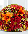 Trail Treasures Autumn Bouquet - FedEx Trail Treasures Autumn Bouquet - FedEx
