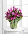 Sunset Daydreams Cactus  -  FedEx