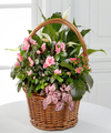 Pink Inspirations Dish Garden  -  FedEx