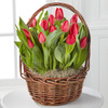 Rubied Beauties Tulip Basket - FedEx Rubied Beauties Tulip Basket - FedEx