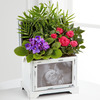 Mothers Day Blooming Keepsake Music Box - FedEx Mothers Day Blooming Keepsake Music Box - FedEx
