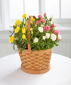 Better Homes and Gardens Rose Garden Basket  -  FedEx