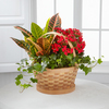 FTD Fall Festival Basket by Better Homes and Gardens - FedEx FTD Fall Festival Basket by Better Homes and Gardens - FedEx
