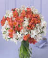 Seasons of Love Bouquet - FedEx Seasons of Love Bouquet - FedEx