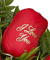 I Love You Speaking Roses - FedEx I Love You Speaking Roses - FedEx