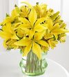FTD Go - Green Bouquet FTD Go - Green Bouquet