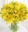 FTD Go - Green Bouquet FTD Go - Green Bouquet