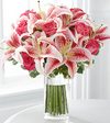 FTD Simple Elegance Bouquet - PREMIUM FTD Simple Elegance Bouquet - PREMIUM