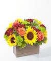 FTD Sunshine Riches Bouquet by Better Homes and Gardens - DELUXE FTD Sunshine Riches Bouquet by Better Homes and Gardens - DELUXE